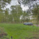 Wisley Dogging
