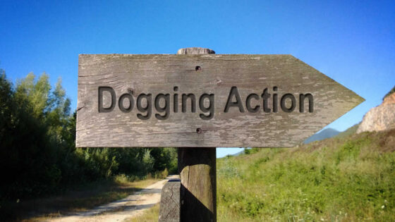 Hampshire Dogging