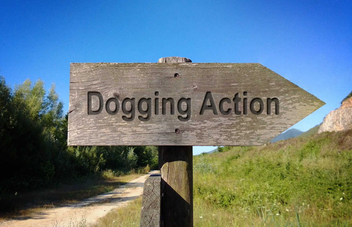 Hampshire Dogging