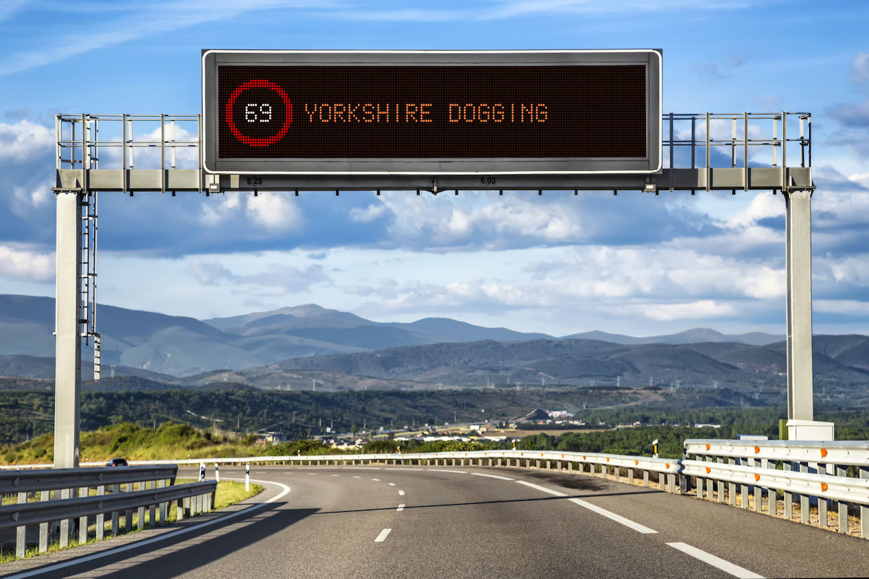 Yorkshire Dogging