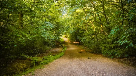 Epping Forest Dogging