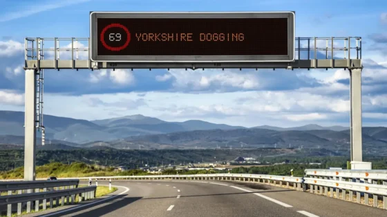 Yorkshire Dogging